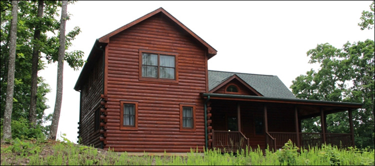 Professional Log Home Borate Application  Peachland,  North Carolina